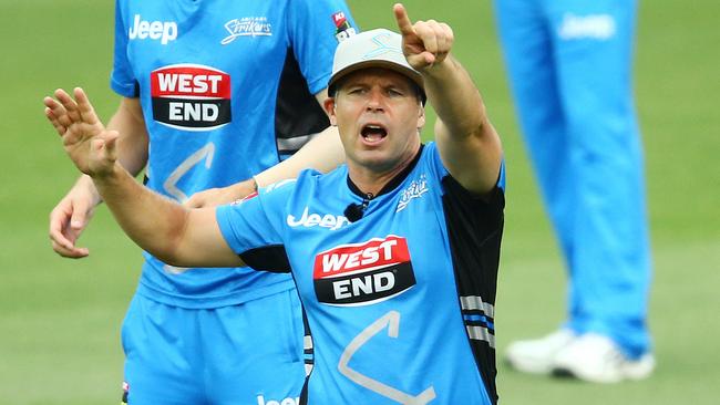 Brad Hodge. Photo Sarah Reed.