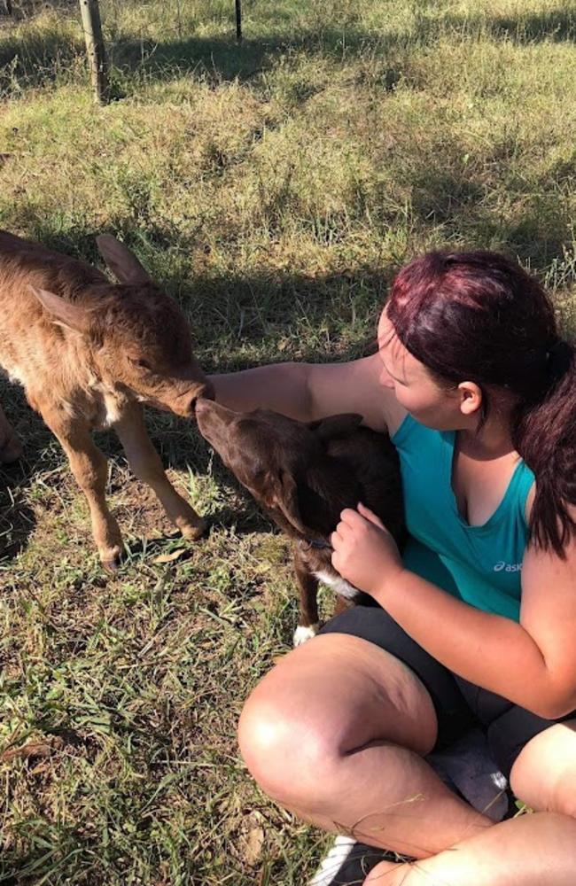 Elizabeth Boughen’s passion for her craft and her cattle was clear.