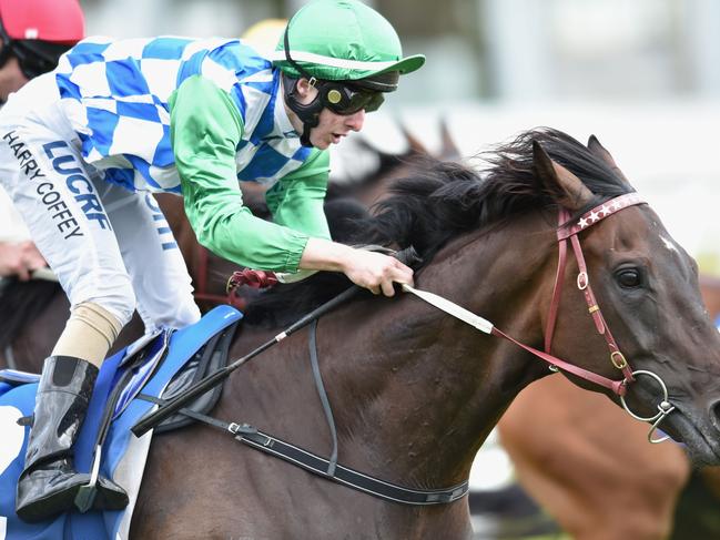 MELBOURNE, AUSTRALIA - DECEMBER 26: Harry Coffey riding Signoff wins Race 9, the Swettenham Stud Lord Stakes during Melbourne Racing at Caulfield Racecourse on December 26, 2015 in Melbourne, Australia. (Photo by Vince Caligiuri/Getty Images)