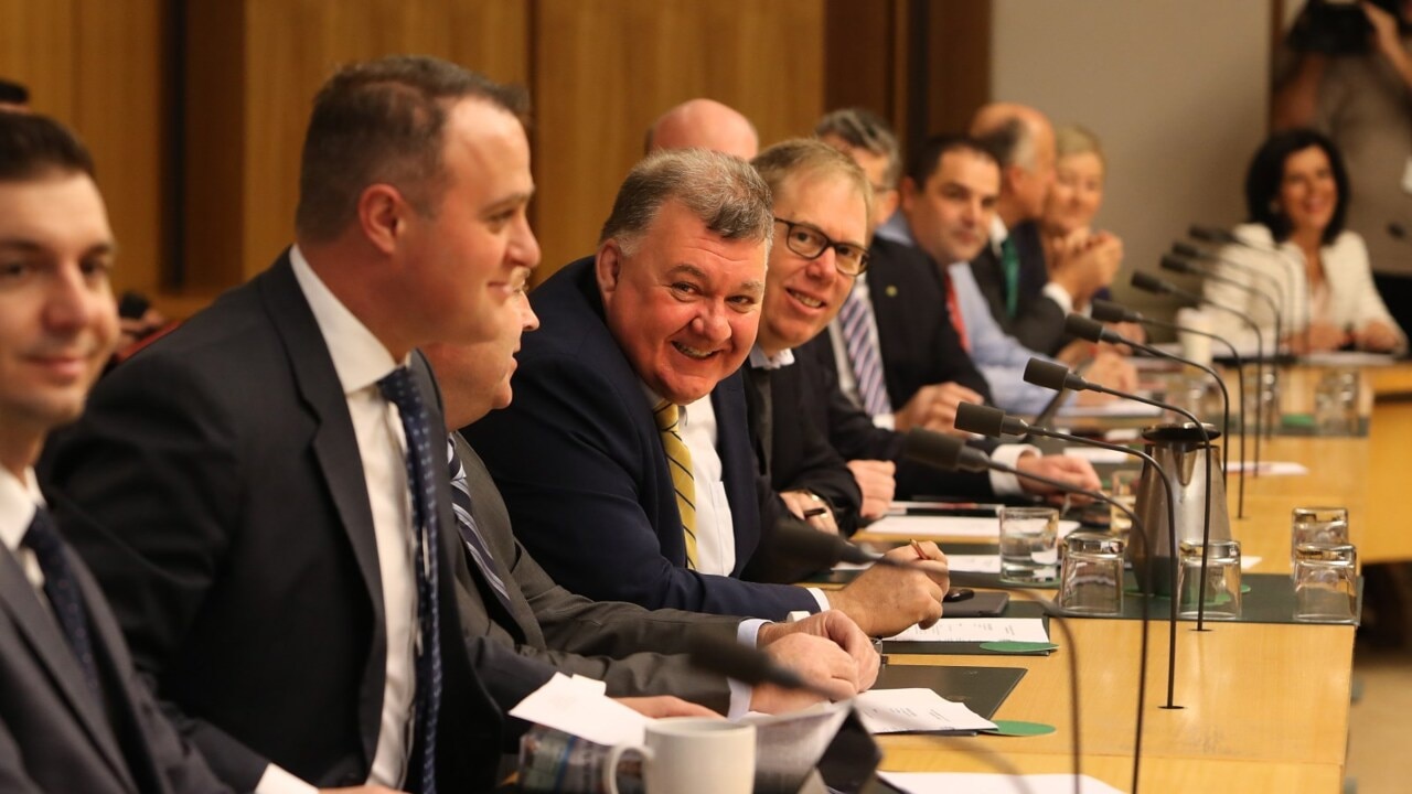 Coalition backbench briefed by industry experts on NEG 