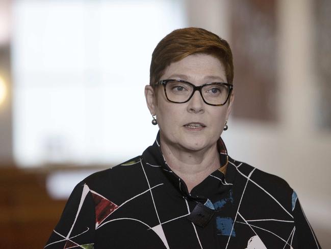 Senator Marise Payne said what happened was ‘grossly disturbing’. Picture: NCA NewsWire / Gary Ramage