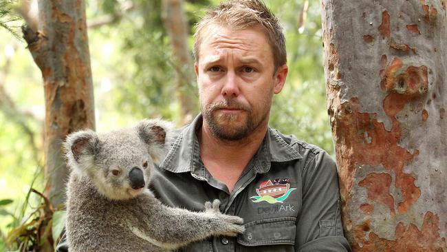 Australian Reptile Park general manager Tim Faulkner with Pippa the koala. The Central Coast’s koala population is on the brink of extinction. Picture: Mark Scott