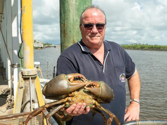 David Caracciolo Mackay Fish Market. Thursday 18 January 2024 Picture: Michaela Harlow