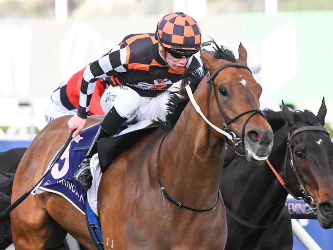 The Astrologist ridden by Damien Thornton wins the World Horse Racing Aurie's Star Handicap at Flemington Racecourse on August 07, 2021 in Flemington, Australia. (Pat Scala/Racing Photos via Getty Images)