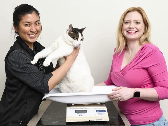 Vet Dr Mei Chet Lee and Jessie Robinson with her cat Thor, who is on the path to losing weight. Picture: Darren Leigh Roberts