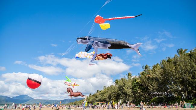 Kites fly high at the Port Douglas Carnivale beach day Photo: Alison George