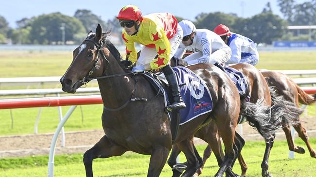 California Sunrise, pictured winning at Hawkesbury in May, looks hard to beat in the first race at Wyong on Saturday. Picture: Bradley Photos