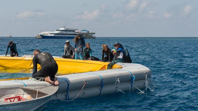 A research team, led by Professor Peter Harrison, assembles a larval pool