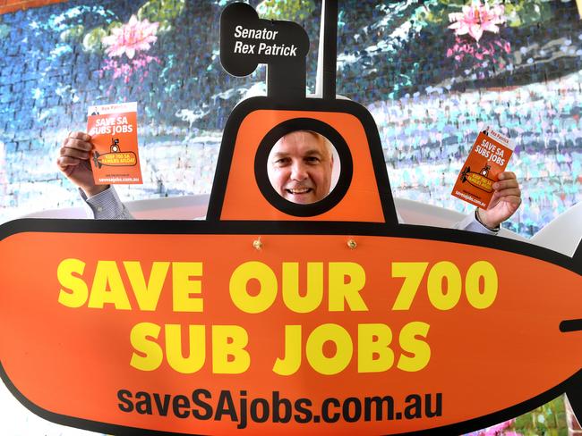 Senator Rex Patrick, dressed as a submarine looking for signatures for a petition in the East End. Picture: Tricia Watkinson