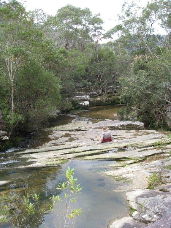 Ms Coote was a regular volunteer at the Ku-ring-gai Wildflower Garden.