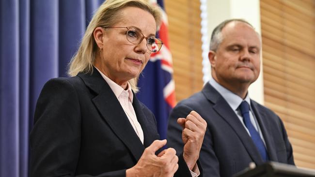 Opposition Leader Sussan Ley and her deputy Ted O'Brien. Ms Ley is not too cowardly to take a punch in the political boxing ring. Picture: NewsWire/Martin Ollman
