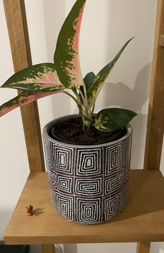 Others posted the pots on Facebook. Picture: Facebook/Crazy Indoor Plant People Australia