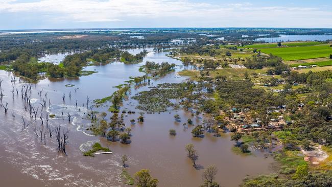 The Murray River flooding at Kingston On Murray in November. Picture: Kingston Murray River Pix