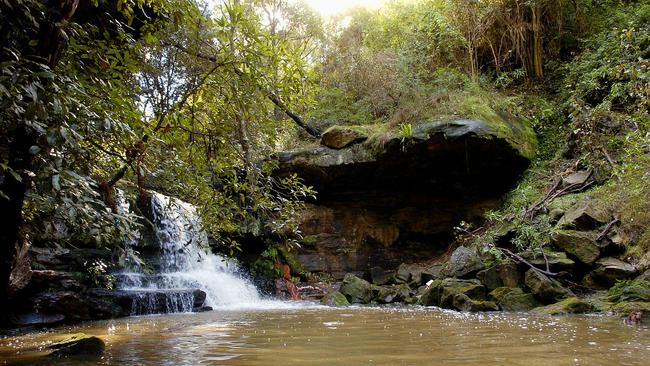 The plan is designed to protect native species in local bushland areas.