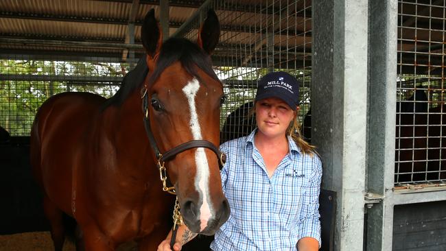 Magic Millions Preview of sales - Mill Park Stud's Lot 185 a Bay Colt by Redoute's Choice and Dances on Waves is expected to be the highest price horse at the sales, pictured also is Kellie McCarthy Pic by David Clark