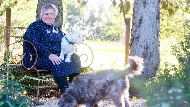 Jan Davis has been appointed CEO of RSPCA Tasmania. Picture: PATRICK GEE