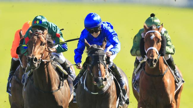 Rachel King and Flit (centre) get the better of Alligator Blood (left) in the Silver Eagle.