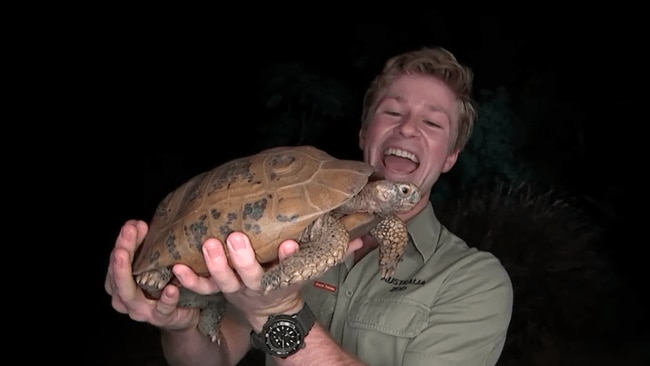 Robert Irwin set to be the next co-host of I’m A Celebrity… Get Me Out ...