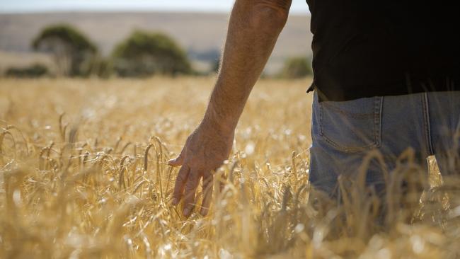 An Australian farmer in a cropping field.