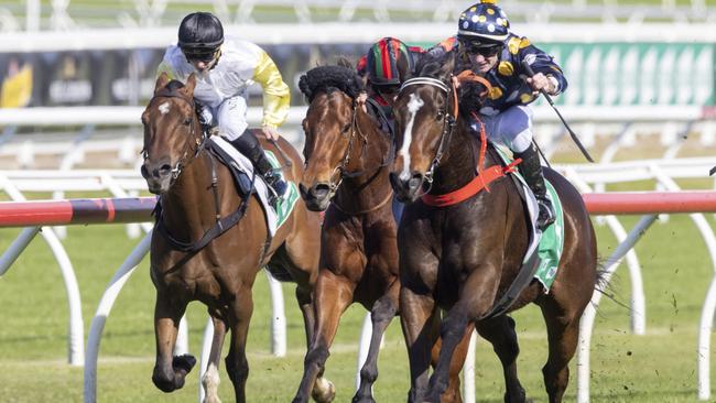 Jan Bowen’s stable star Casino Kid Picture: Jenny Evans/Getty Images