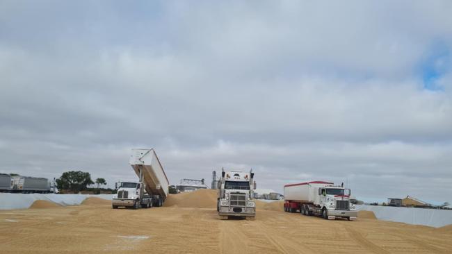 Murraylands farmer Andrew Thomas said he just finished what was his "best harvest ever". Picture: Andrew Thomas.