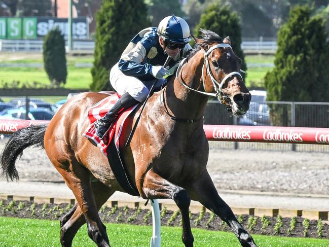 Daggers ridden by Luke Currie wins the Brooks Running AU Plate at Moonee Valley Racecourse on August 24, 2024 in Moonee Ponds, Australia. (Photo by Reg Ryan/Racing Photos via Getty Images)