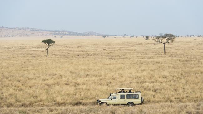 The Big Five have long drawn tourist to Africa. Picture: Getty Images