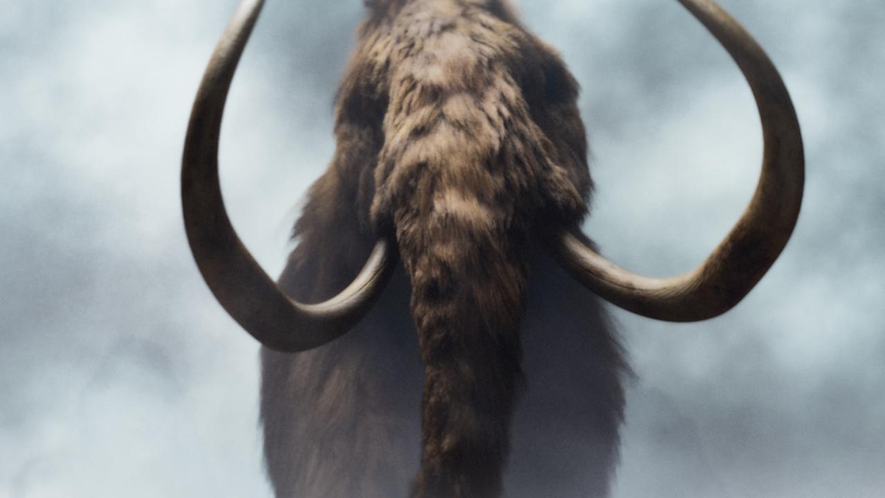 Giant Meatball Made Of Extinct Woolly Mammoth | KidsNews