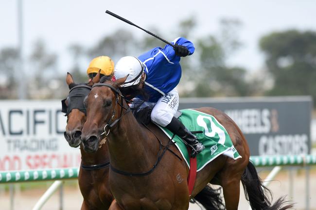 Jockey Dan Griffin rode Ligreb to victory in Saturday’s Maiden Handicap (1100m) at the Gold Coast. Picture: Steve Holland.