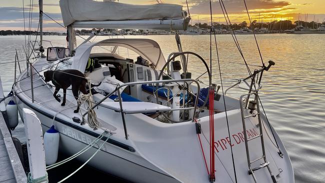 Yacht Pipedream, with Marlay the pointer. Picture: Stuart Loft