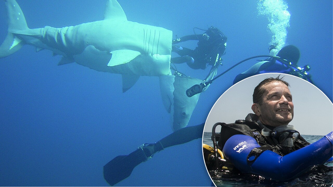 Diver Fabien Cousteau on sharks and climate change | Daily Telegraph