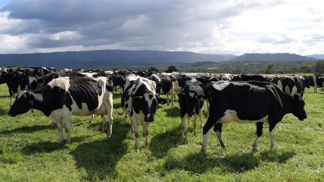 Milton locals have been rallying around the IGA’s efforts to help farmers. Picture: Simon Bullard