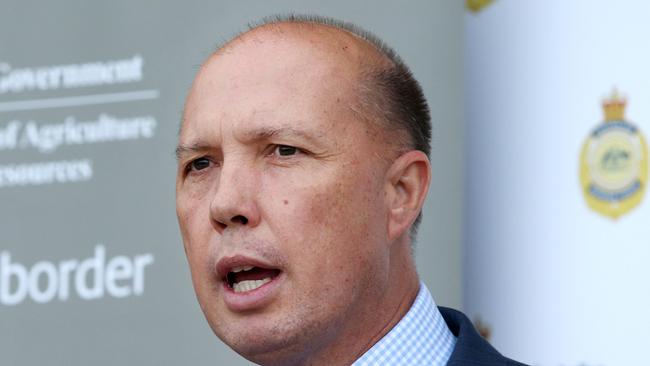 Labor has preselected Ali France to take on Peter Dutton at the next federal election.