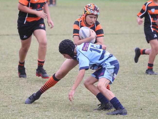 GCDRU juniors round 7. Coomera v Helensvale U11's.1 June 2024 Coomera Picture by Richard Gosling