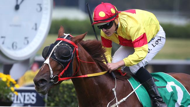 Brodie Loy (pictured) rides Oh No Mikki on Friday. Picture: AAP Image