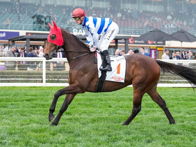 Que Tempesta (IRE) on the way to the barriers prior to the running of  the Catanach's Jewellers MRC Foundation Cup at Caulfield Racecourse on September 21, 2024 in Caulfield, Australia. (Photo by Scott Barbour/Racing Photos via Getty Images)