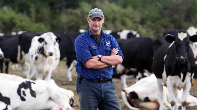 Untied Dairyfarmers Association of Victoria president Mark Billing on his property near Colac, 150km south west of Melbourne. Picture: Aaron Francis