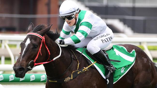Kisukano winning at Eagle Farm. Picture: Trackside Photography