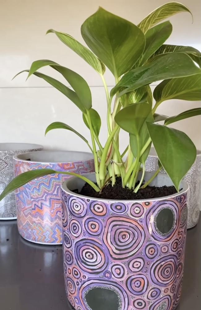 Model Fallon Gregory posted a video of her picking out four of the pots this week. Picture: Instagram/Fallon Gregory