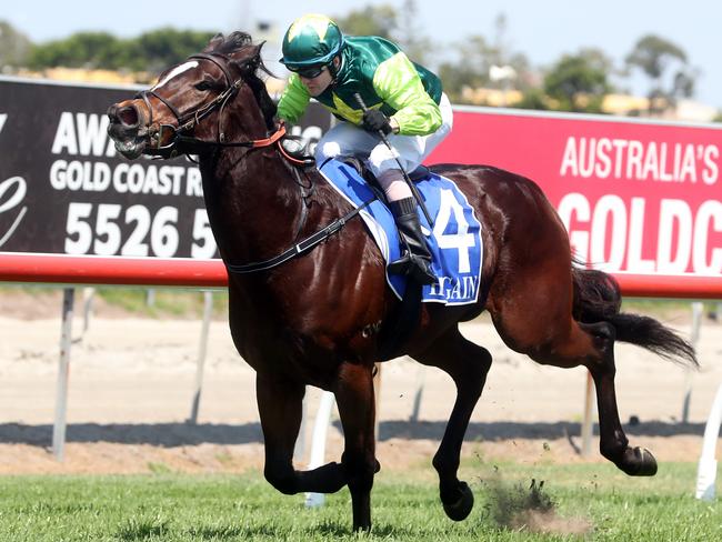 Race 1 winner number 4 Dazzling Red. Ridden by Darryl McLellan. Trainer is Chris Munce.Photo by Richard Gosling