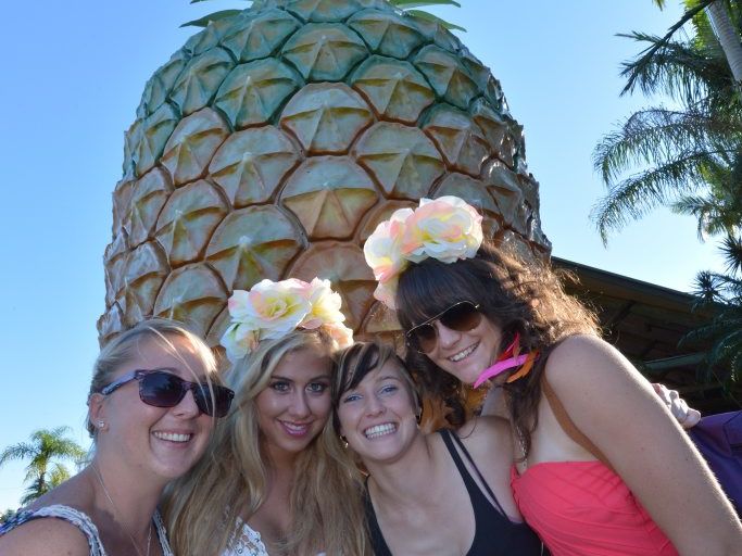 <p><span>Highlights of Big Pineapple Music Festival 2013</span></p>