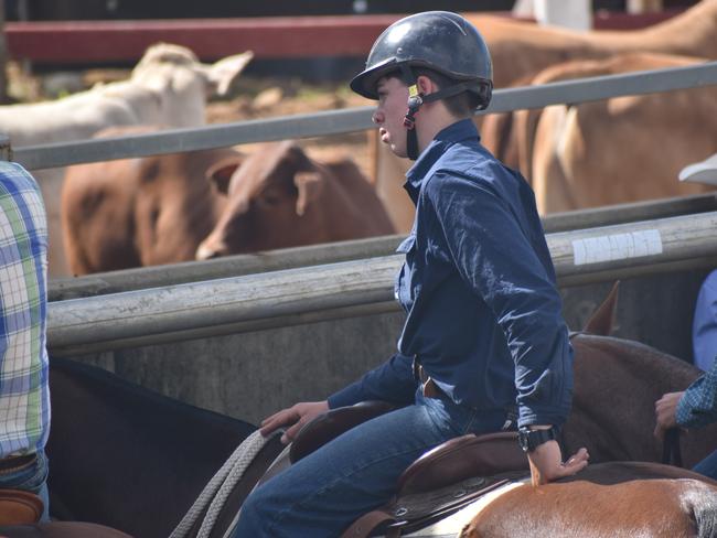 Faces of the 23rd annual Paradise Lagoons Campdraft on May 10, 2025.