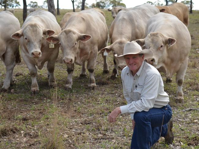 Cattle producers set for record breeding season after bumper wet months