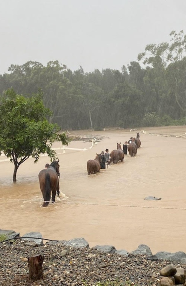 Former jockey Melinda Turner was one of hundreds of residents in the Port Macquarie region forced to evacuate, as she tried to save five of her horses at Fernbank Creek. Picture: Nathan Edwards