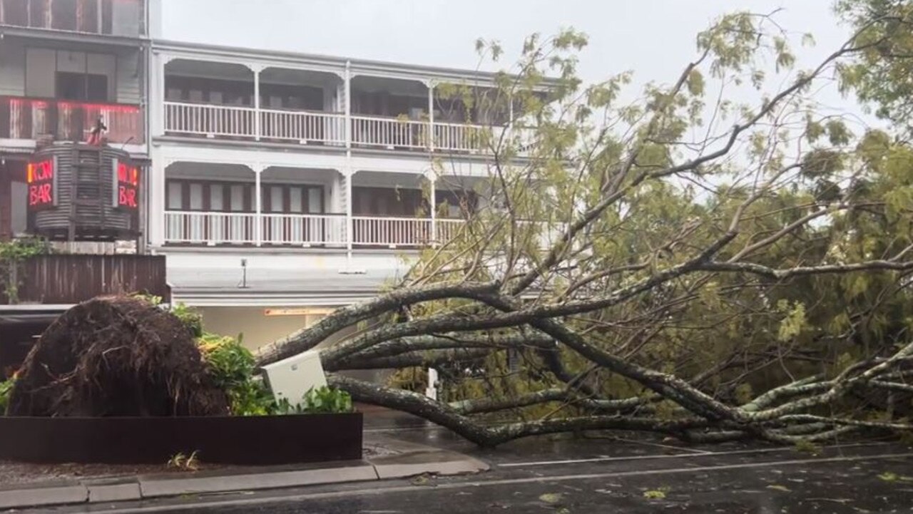 A tree brought down in the middle of Macrossan St in Port Douglas. Picture: Vanessa Marsh