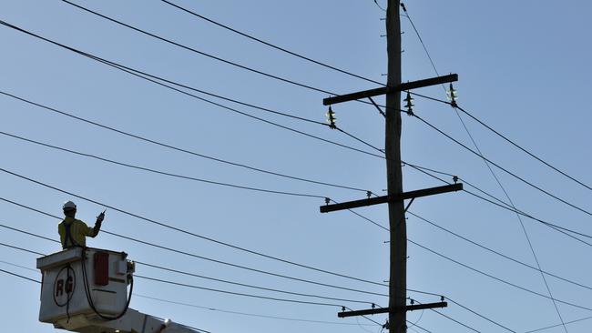 An Ergon worker inspects lines after a powerline was brought down. Generic file photo.