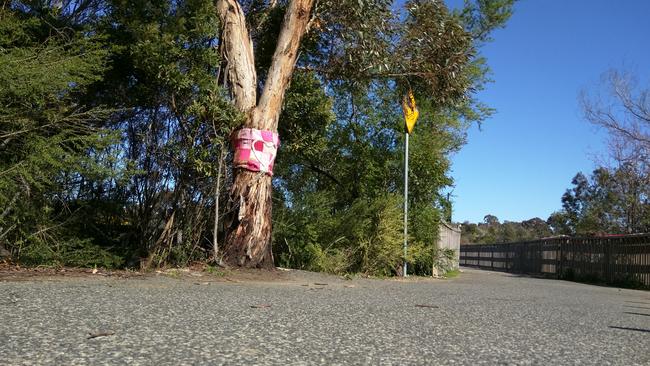 Koonung Creek Linear Park, the scene of Masa Vukotic's murder.