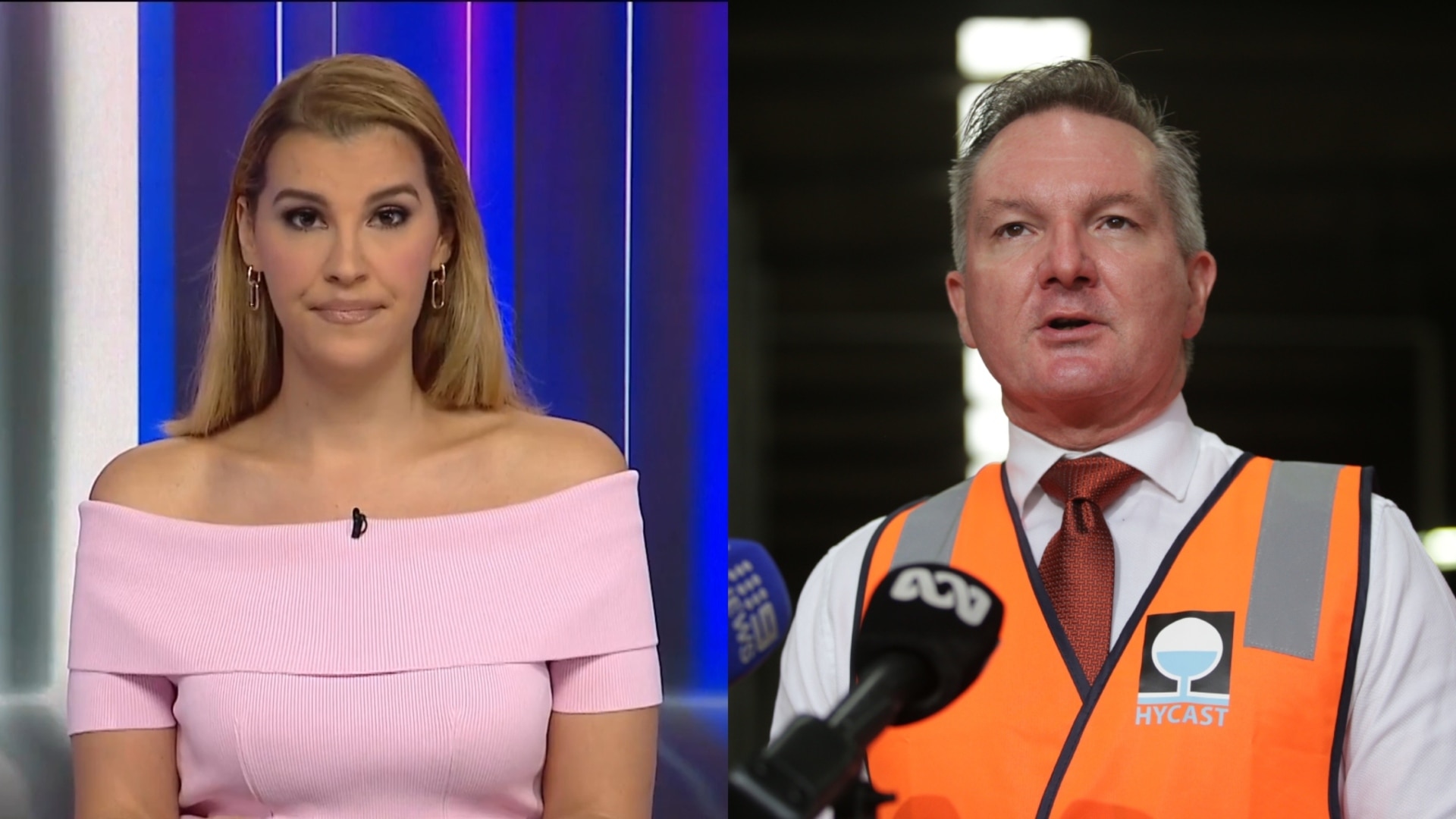 Renewable energy ‘fairy-tale fantasy’: TV host calls out Labor's ‘obsession’