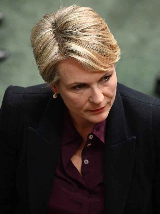 Deputy Leader of the Opposition Tanya Plibersek was booted from Question Time after clashing with the Prime Minister. Picture: AAP Image/Mick Tsikas