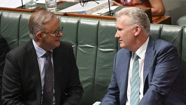 Anthony Albanese and Home Affairs Minister Tony Burke. Picture: NewsWire / Martin Ollman